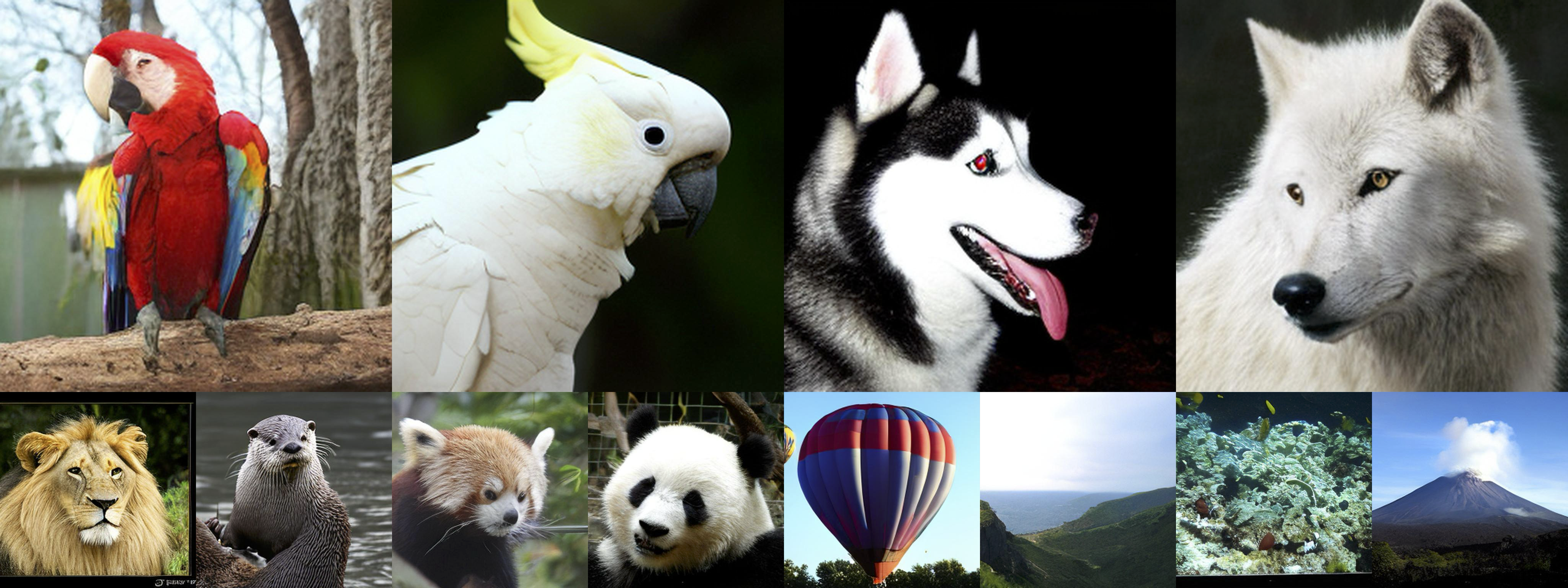 Composite of selected image generation samples from RecFM-XL at 256×256 resolution.